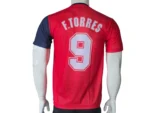Spain 2008 Special Edition Football Jersey back view