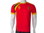 Spain 2010 World Cup Torres #9 Jersey